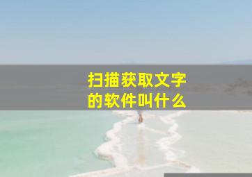 扫描获取文字的软件叫什么