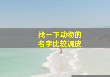 找一下动物的名字比较调皮