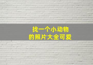 找一个小动物的照片大全可爱