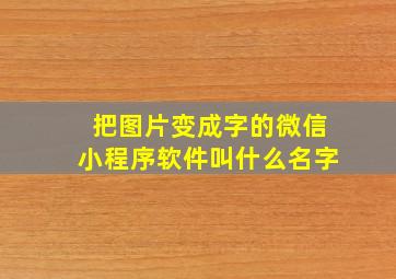 把图片变成字的微信小程序软件叫什么名字