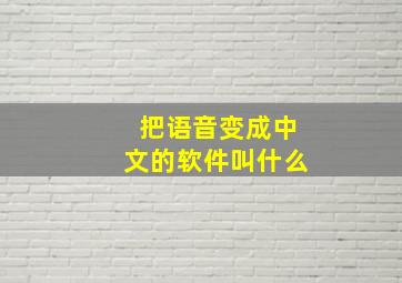 把语音变成中文的软件叫什么