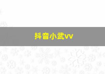 抖音小武vv