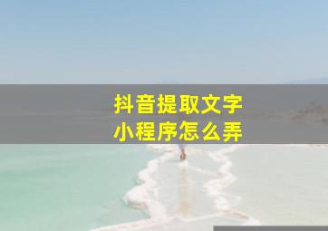 抖音提取文字小程序怎么弄