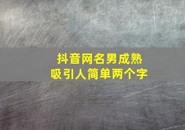 抖音网名男成熟吸引人简单两个字