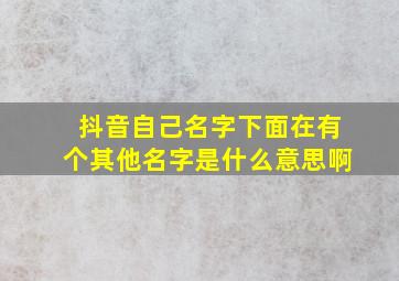 抖音自己名字下面在有个其他名字是什么意思啊