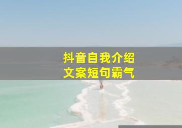 抖音自我介绍文案短句霸气