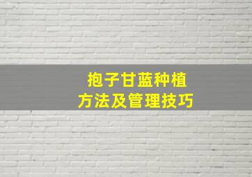 抱子甘蓝种植方法及管理技巧