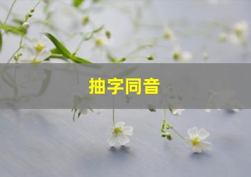 抽字同音