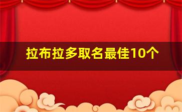 拉布拉多取名最佳10个