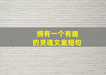 拥有一个有趣的灵魂文案短句