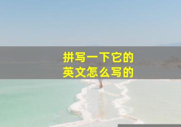 拼写一下它的英文怎么写的