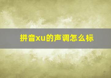 拼音xu的声调怎么标