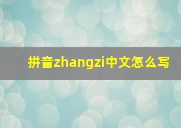 拼音zhangzi中文怎么写