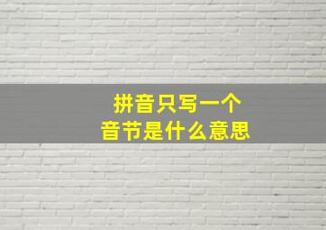 拼音只写一个音节是什么意思