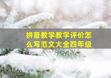 拼音教学教学评价怎么写范文大全四年级