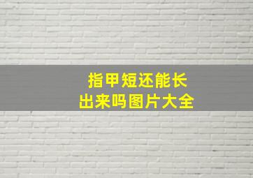 指甲短还能长出来吗图片大全