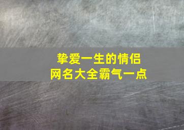 挚爱一生的情侣网名大全霸气一点