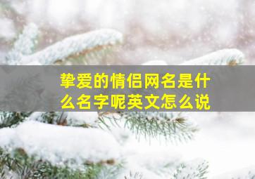 挚爱的情侣网名是什么名字呢英文怎么说