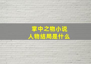 掌中之物小说人物结局是什么