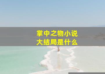 掌中之物小说大结局是什么