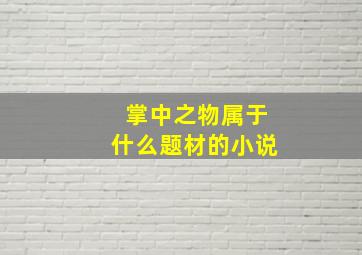 掌中之物属于什么题材的小说