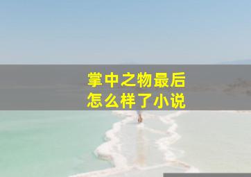 掌中之物最后怎么样了小说