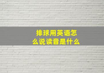 排球用英语怎么说读音是什么