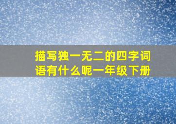 描写独一无二的四字词语有什么呢一年级下册