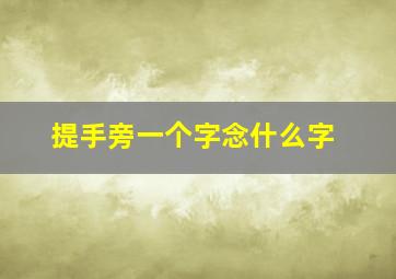 提手旁一个字念什么字