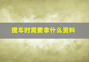 提车时需要拿什么资料