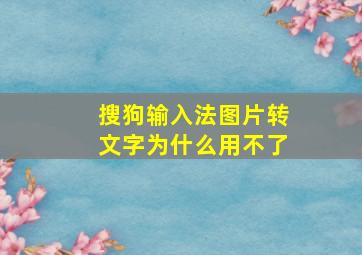 搜狗输入法图片转文字为什么用不了