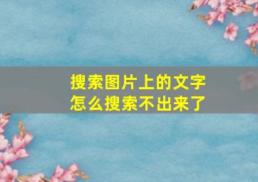 搜索图片上的文字怎么搜索不出来了