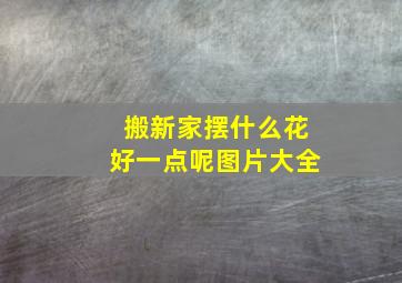 搬新家摆什么花好一点呢图片大全