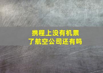 携程上没有机票了航空公司还有吗