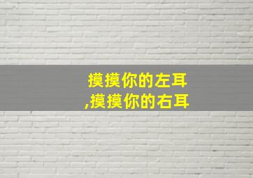 摸摸你的左耳,摸摸你的右耳