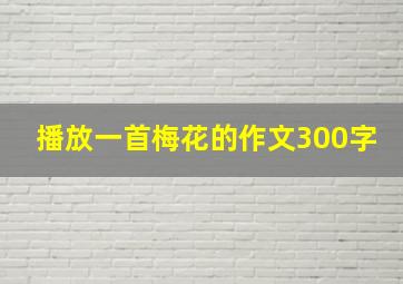 播放一首梅花的作文300字