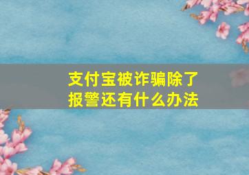 支付宝被诈骗除了报警还有什么办法