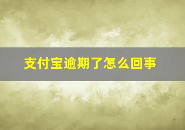 支付宝逾期了怎么回事