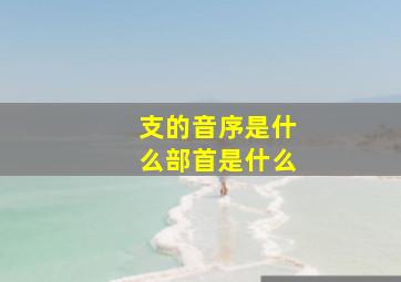 支的音序是什么部首是什么