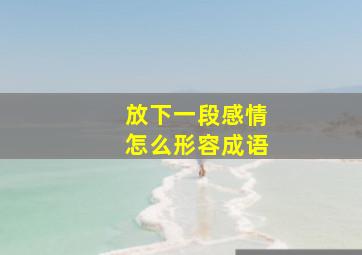 放下一段感情怎么形容成语