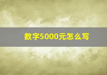 数字5000元怎么写