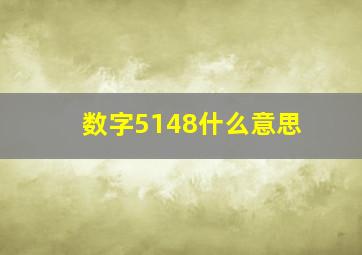 数字5148什么意思