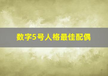 数字5号人格最佳配偶