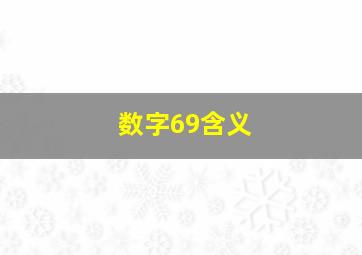 数字69含义