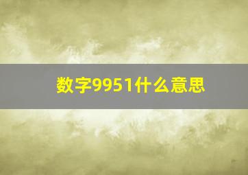 数字9951什么意思