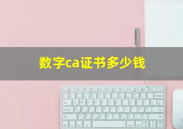 数字ca证书多少钱