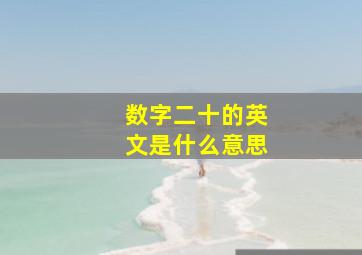 数字二十的英文是什么意思