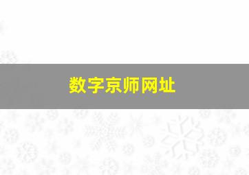 数字京师网址