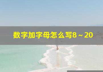 数字加字母怎么写8～20