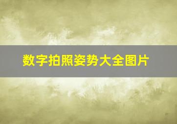 数字拍照姿势大全图片